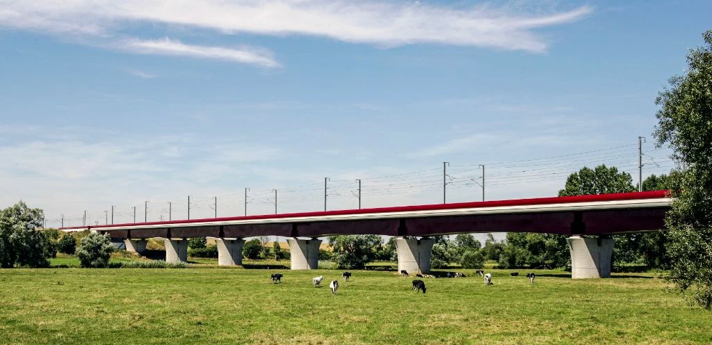 High-speed railway viaduct with concrete pillars - civil engineering