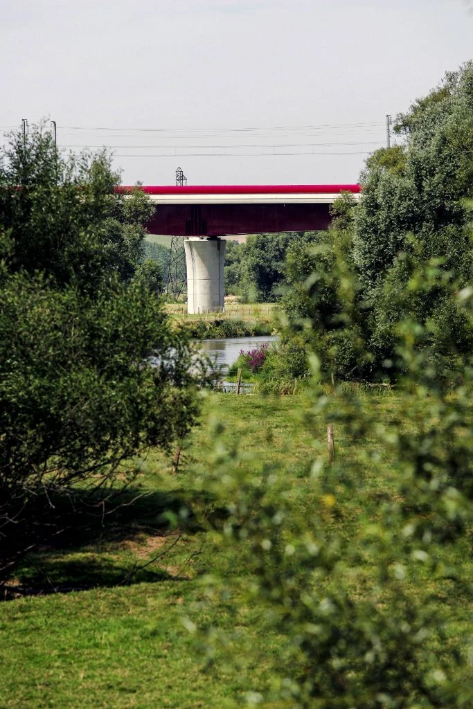 LGV viaduct seen through vegetation
