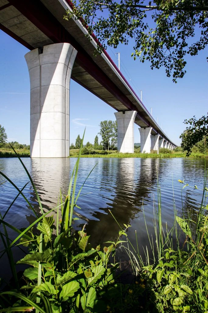 LGV viaduct over lake with aquatic vegetation